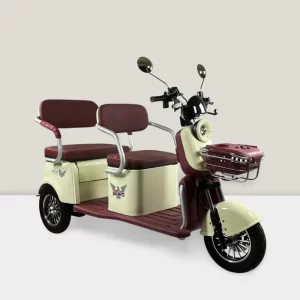 Trimoto eléctrica WHINSTHON modelo Family XP