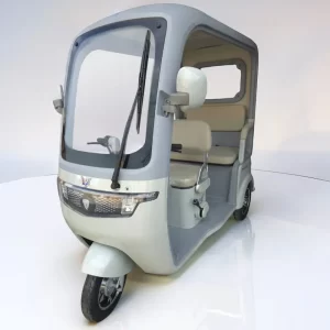 Trimoto eléctrica New Family XP