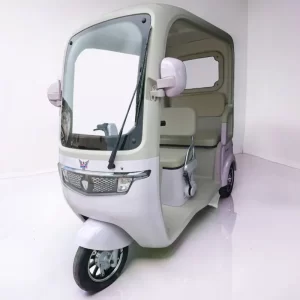 Trimoto eléctrica New Family XP