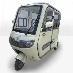 Trimoto Eléctrica WHINSTHON modelo Family Ultra