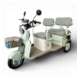 Trimoto eléctrica WHINSTHON modelo Family XP