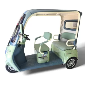 Trimoto Eléctrica con techo WHINSTHON Modelo New Family XP