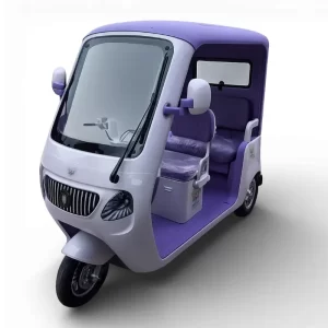 Trimoto Eléctrica WHINSTHON modelo Family Deluxe